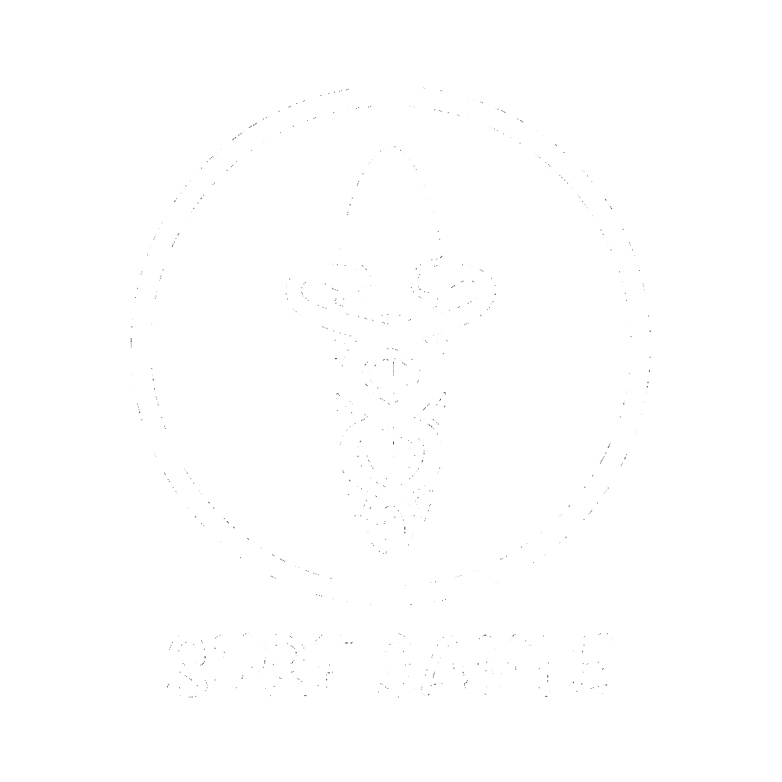 Logo de Surf Santé